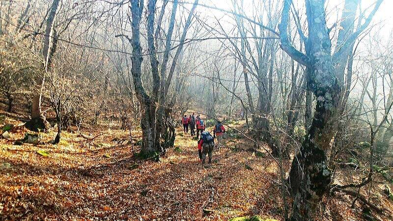 Arazi Tarama ve Harita Kullanımı