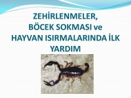 Hayvan Isırıkları ve Zehirlenmlerde İlkyardım