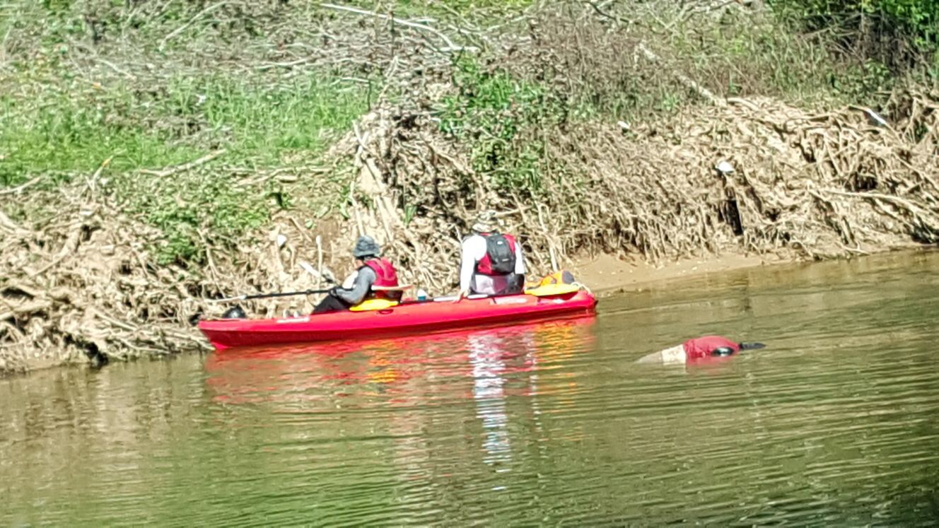 Sakarya Nehri Bir Can Daha Aldı. resim-1